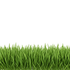 Fototapeta premium Fresh Green Grass Border Isolated on transparent Background