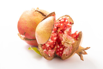 ［山形県産］ザクロ