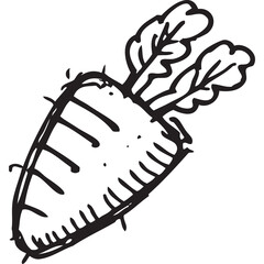 Hand Drawn Sketch of a Carrot With Green Leaves and Transparent Background in Black and White