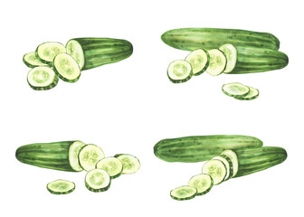 Cucumber set watercolor hand drawn illustration. Whole long green vegetable and sliced in circles cucumber fruit. Clipart for eco market, kitchen menu, food, nature cosmetic label. Isolated background