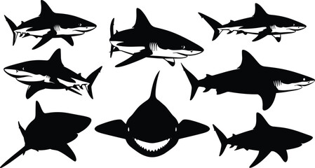 Shark animal silhouettes with detailed fins and teeth, ocean predator illustration, marine wildlife vector design, sea creature anatomy, cad drawing flat vector illustration