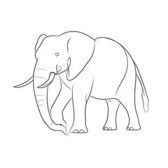 Fototapeta premium Line drawing of an elephant, walking, side profile view, monochrome