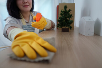 Housekeeper Cleaning Surface with Spray Bottle and Cloth