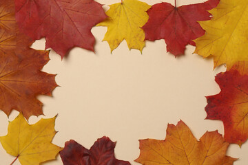 Pumpkins, acorns and fallen leaves on a beige background with space for design.
