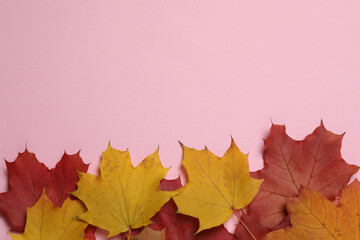 Pumpkins, acorns and fallen leaves on a pink background with space for design.

