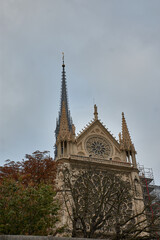 Gothic spires of Notre Dame Cathedral in Paris with a gray sky and autumn trees in a vertical and solemn composition