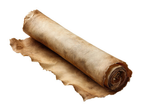 Ancient scroll unfurled historical context isolated on transparent background