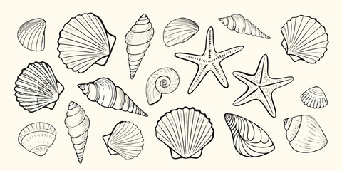 Collection of hand drawn seashells and starfish illustrations on a light background