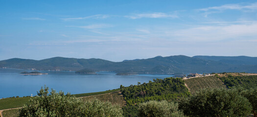 Vineyard hills above Adriatic bay view