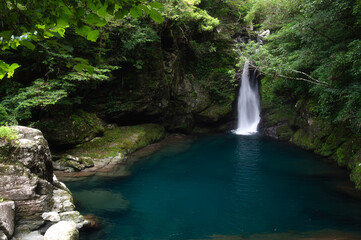 Niko Deep, Nikobuchi waterfall along Edagawa River in Summer, Kochi Prefecture, Shikoku, Japan