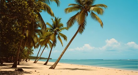 Obraz premium Tropical beach scene with palm trees leaning over the sandy shore, turquoise sea, and a clear blue sky with scattered clouds, creating a serene vacation vibe