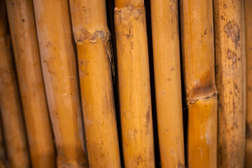 Close-up of several bamboo sticks in a row. Beautiful Japanese bamboo background.