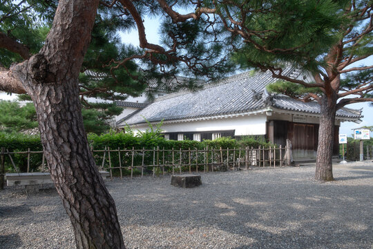 Kochi Castle Ground in Summer Early Morning, Kochi Prefecture, Shikoku, Japan