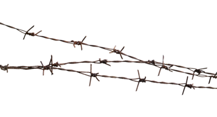 messy barbed wire isolated on white