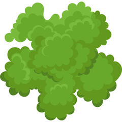 Top View Of Lush Green Tree Canopy With Dense Foliage Isolated On Transparent Background