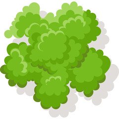 Top View of Lush Green Tree Foliage with Soft Shadows on a Transparent Background Natural Vegetation Element for Garden Design and Landscape Projects