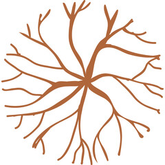 Top View Stylized Tree Roots And Branches Abstract Design In Brown On Transparent Background
