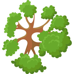 Top View Tree Planting Green Trees In Park With Transparent Background And Detailed Vegetation Illustration