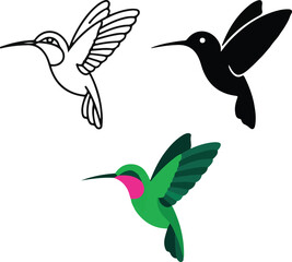 Three stylized hummingbird illustrations in outline silhouette and color