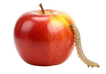 Worm crawling on fresh, vibrant, red apple fruit