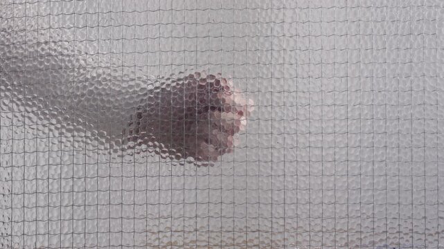 Hand knocks on glass window
