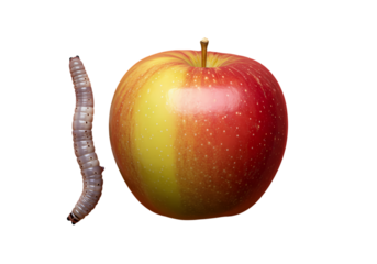 Worm beside a fresh, ripe, delicious apple