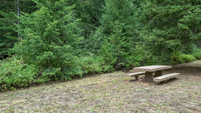 A campsite with a picnic table and fire ring in the pine forest at the Julia Henderson Pioneer Park in Oregon, USA