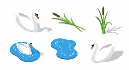 Isometric pond elements collection: white swans, blue water puddles, and green cattails.