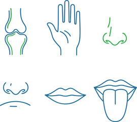 Human Anatomy Line Art Icons knee joint