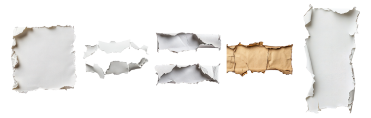 Torn paper edges on white background in various shapes and sizes, Isolated on Transparent, white background