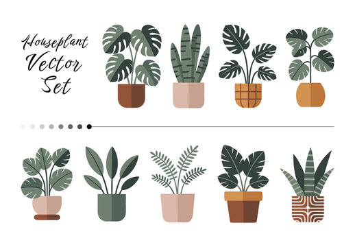 Houseplant Vector Set Illustration Layout