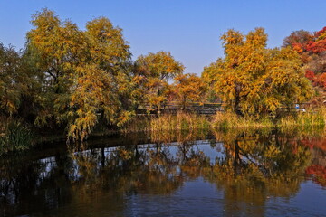 Soldier Lake. An urban lake surrounded by mountains with different vegetation. Autumn time, view from the drone.