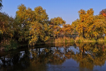 Soldier Lake. An urban lake surrounded by mountains with different vegetation. Autumn time, view from the drone.