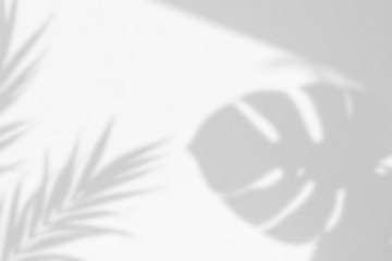 Monstera Leaves Shadow Overlays