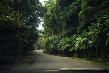 Tropical Road Through the Jungle, Manuel Antonio, Costa Rica
