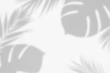 Monstera Leaves Shadow Overlays