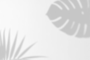 Monstera Leaves Shadow Overlays