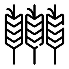 seed