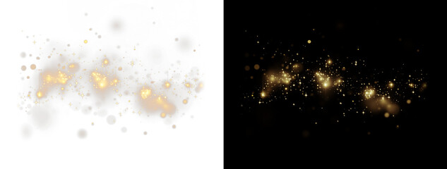 Elegant Christmas Glowing Dust PNG Overlay for beautiful designs Transparent Magic Sparkle Photo...