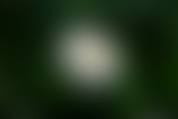 Obraz premium Beautiful abstract design featuring seamless soft color gradients background