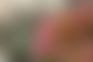 Beautiful abstract design featuring seamless soft color gradients background