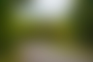 Beautiful abstract design featuring seamless soft color gradients background