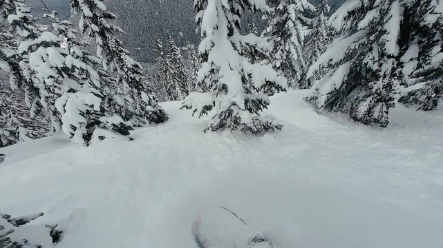 Slow Motion Powder Face Shots Snowboarding Backcountry