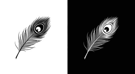 Obraz premium Two peacock feathers, one black on white and the other white on black, showcasing intricate details.