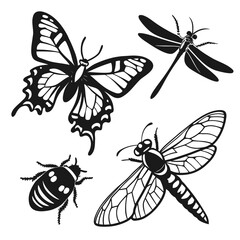 Vector art of insect