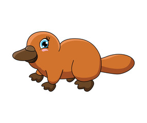 animal cartoon vector