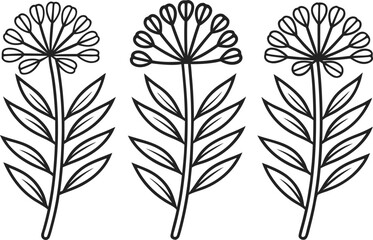 Botanical Illustration Art. Detailed Plant Illustration. Hand Drawn Botanical Art. Floral Illustration Collection. Elegant Botanical Artwork. Classic Plant Illustration. Modern Botanical Drawing