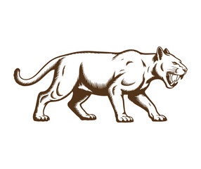 vector illustration of a jaguar