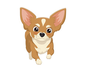 Obraz premium chihuahua dog white background