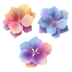 Three stylized hydrangea blossoms in pastel hues